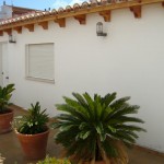 Apartment Gandia Apartment Gandia