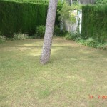 Bargain villa Valencia