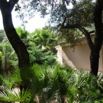 villa for sale Gandia 12