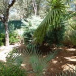 villa for sale Gandia 13