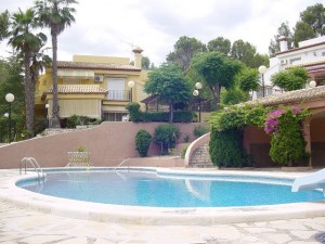 Drova Belletra 1049clf